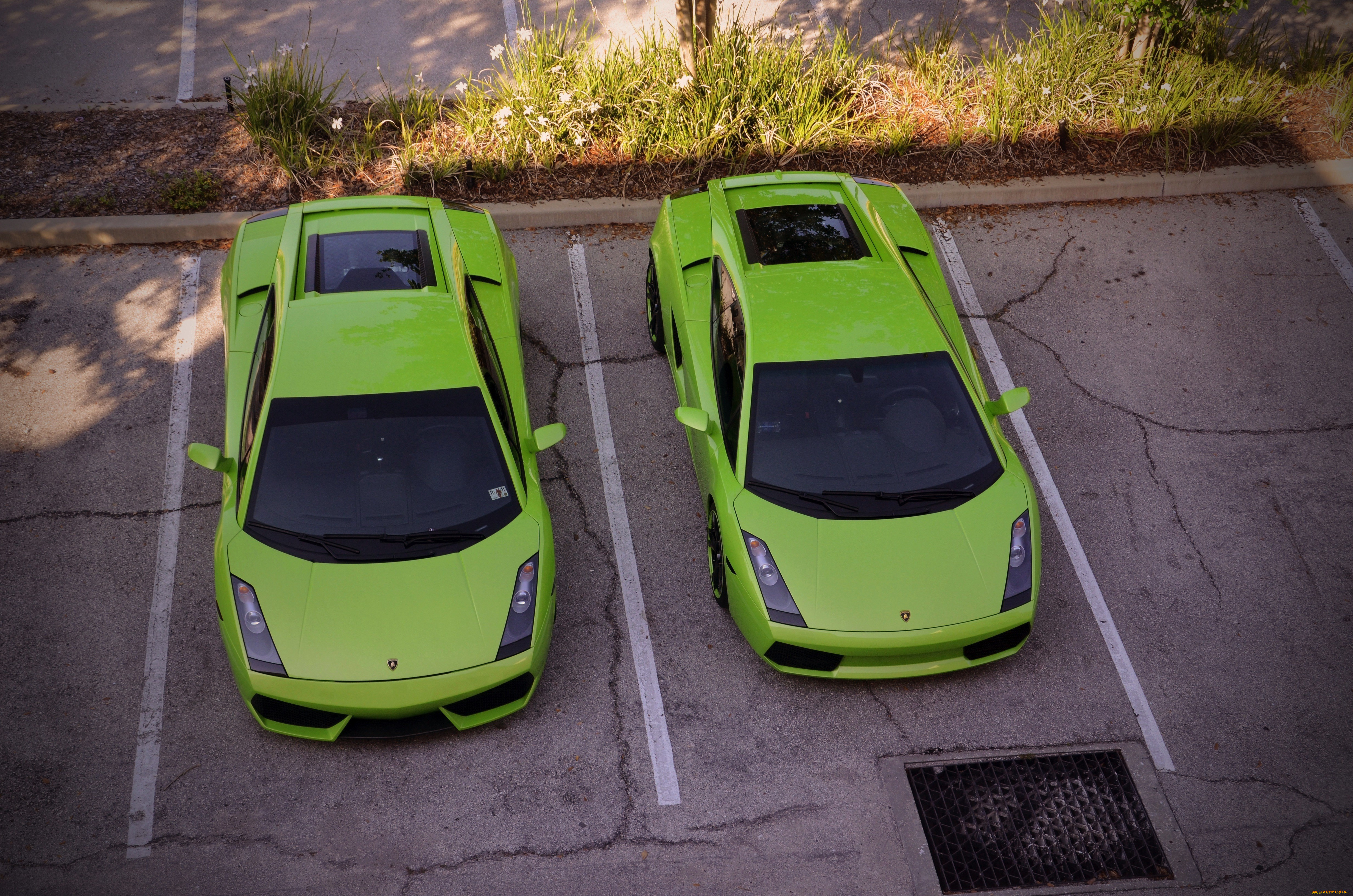 , lamborghini, , , , gallardo